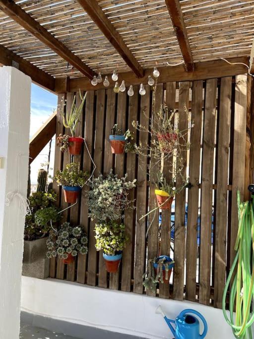 Níjar La Casa Del San Antonヴィラ エクステリア 写真